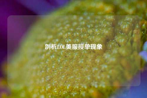 剖析LOL美服接单现象