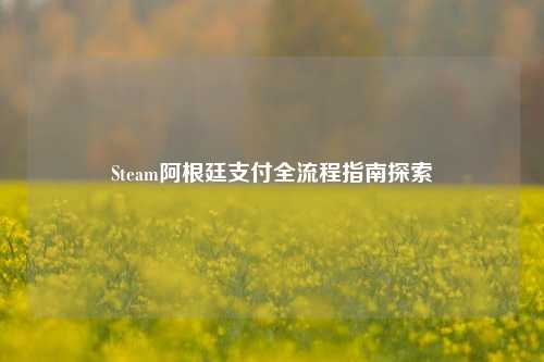 Steam阿根廷支付全流程指南探索