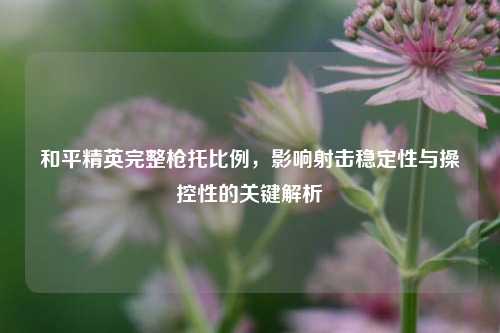和平精英完整枪托比例，影响射击稳定性与操控性的关键解析