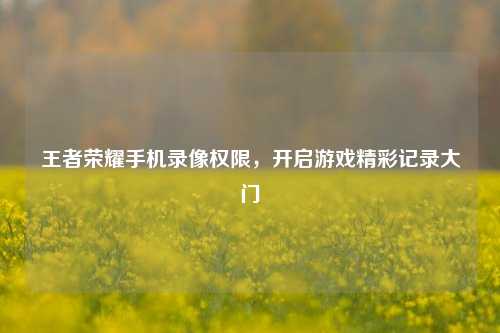 王者荣耀手机录像权限,开启游戏精彩记录大门