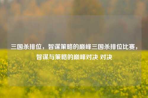 三国杀排位，智谋策略的巅峰三国杀排位比赛，智谋与策略的巅峰对决 对决