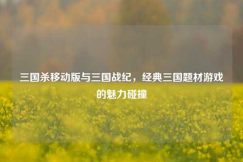 三国杀移动版与三国战纪，经典三国题材游戏的魅力碰撞