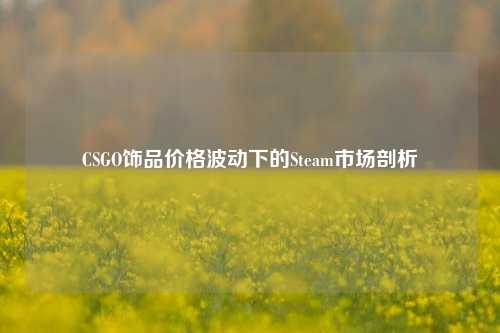 CSGO饰品价格波动下的Steam市场剖析