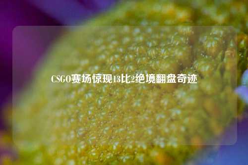 CSGO赛场惊现13比2绝境翻盘奇迹