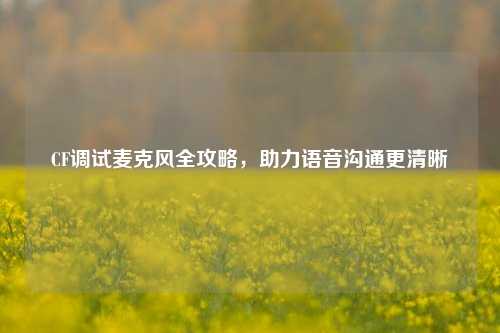 CF调试麦克风全攻略,助力语音沟通更清晰