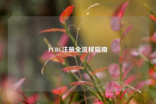 PUBG注册全流程指南