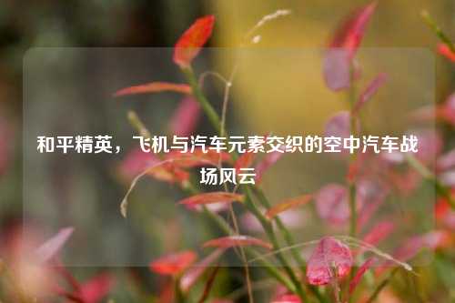 和平精英,飞机与汽车元素交织的空中汽车战场风云