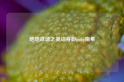 绝地战场之灵动身影pubg南希