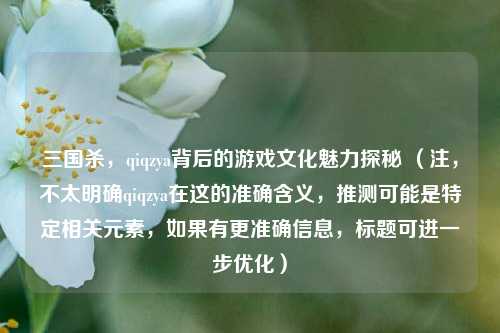 三国杀，qiqzya背后的游戏文化魅力探秘 （注，不太明确qiqzya在这的准确含义，推测可能是特定相关元素，如果有更准确信息，标题可进一步优化）