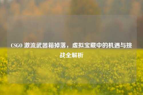 CSGO 激流武器箱掉落，虚拟宝藏中的机遇与挑战全解析