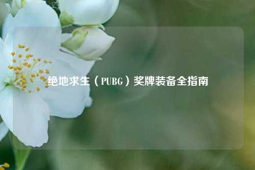 绝地求生（PUBG）奖牌装备全指南