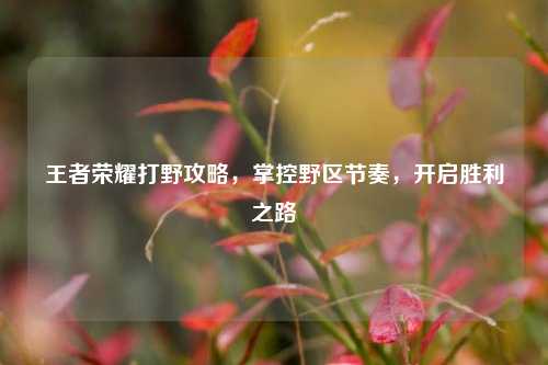 王者荣耀打野攻略,掌控野区节奏,开启胜利之路