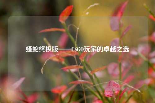 蝰蛇终极版——CSGO玩家的卓越之选
