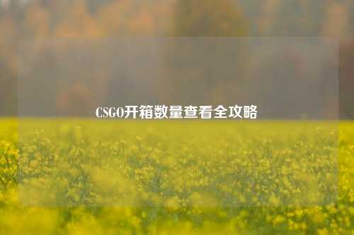 CSGO开箱数量查看全攻略