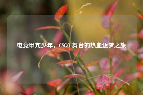 电竞甲亢少年,CSGO 舞台的热血逐梦之旅