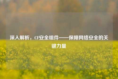 深入解析，CF安全组件——保障网络安全的关键力量