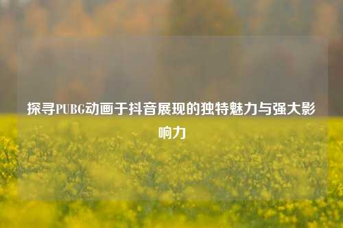 探寻PUBG动画于抖音展现的独特魅力与强大影响力