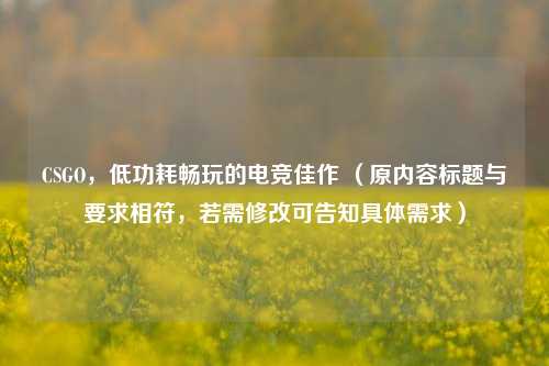 CSGO,低功耗畅玩的电竞佳作 (原内容标题与要求相符,若需修改可告知具体需求)