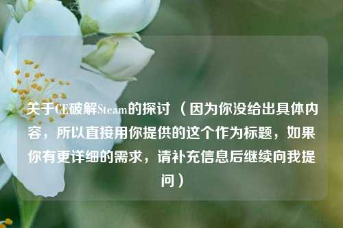 关于CE破解Steam的探讨 （因为你没给出具体内容，所以直接用你提供的这个作为标题，如果你有更详细的需求，请补充信息后继续向我提问）