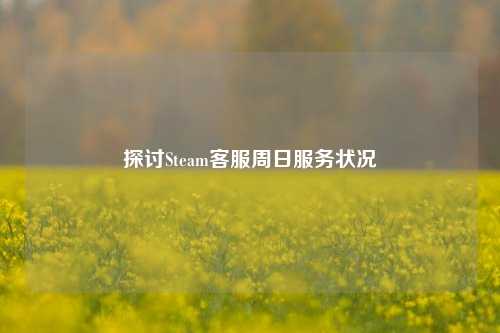 探讨Steam客服周日服务状况