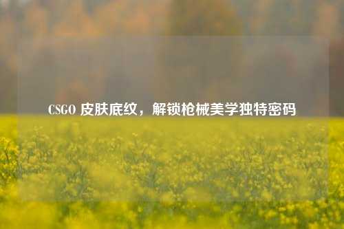 CSGO 皮肤底纹，解锁枪械美学独特密码