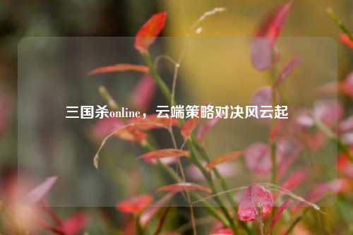 三国杀online，云端策略对决风云起