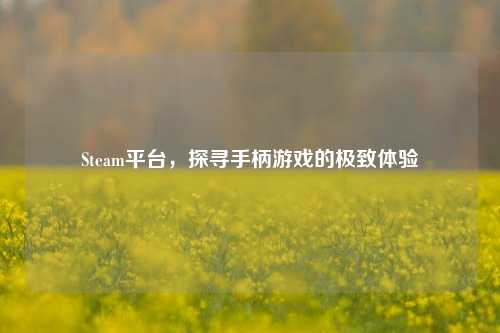 Steam平台，探寻手柄游戏的极致体验