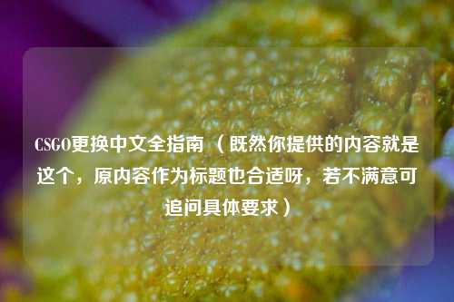 CSGO更换中文全指南 （既然你提供的内容就是这个，原内容作为标题也合适呀，若不满意可追问具体要求）