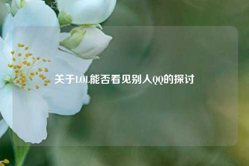 关于LOL能否看见别人QQ的探讨