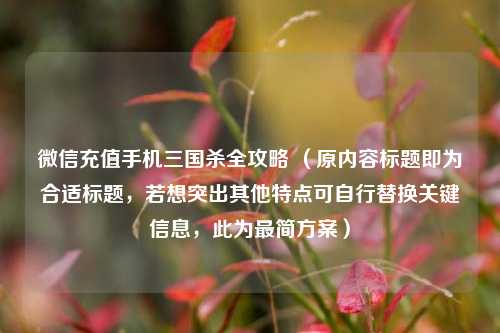 微信充值手机三国杀全攻略 （原内容标题即为合适标题，若想突出其他特点可自行替换关键信息，此为最简方案）