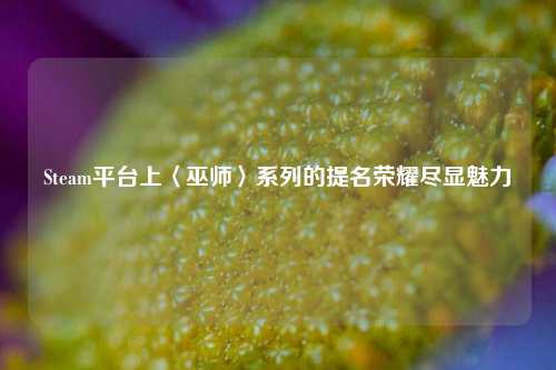Steam平台上〈巫师〉系列的提名荣耀尽显魅力
