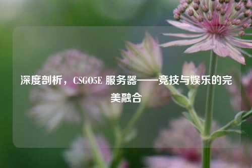 深度剖析，CSGO5E 服务器——竞技与娱乐的完美融合