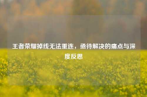 王者荣耀掉线无法重连，亟待解决的痛点与深度反思