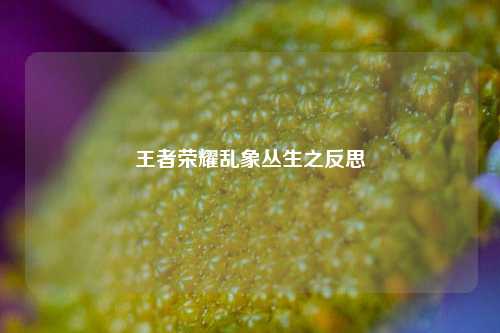 王者荣耀乱象丛生之反思