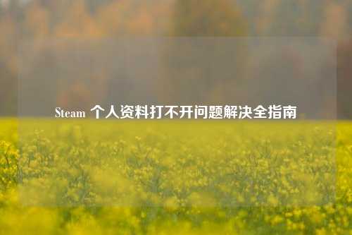 Steam 个人资料打不开问题解决全指南