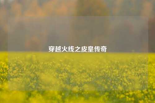 穿越火线之皮皇传奇