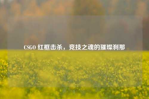 CSGO 红框击杀,竞技之魂的璀璨刹那