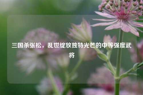 三国杀张松,乱世绽放独特光芒的中等强度武将