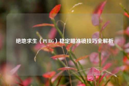 绝地求生(PUBG)稳定瞄准镜技巧全解析