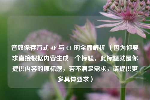 音效保存方式 AF 与 CF 的全面解析 （因为你要求直接根据内容生成一个标题，此标题就是你提供内容的原标题，若不满足需求，请提供更多具体要求）