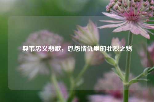 典韦忠义悲歌，恩怨情仇里的壮烈之殇