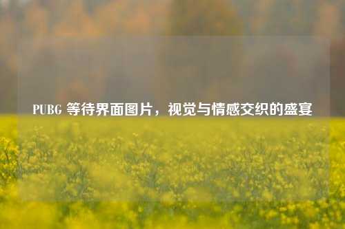 PUBG 等待界面图片,视觉与情感交织的盛宴