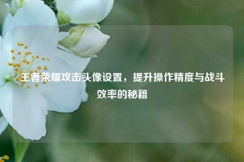 王者荣耀攻击头像设置,提升操作精度与战斗效率的秘籍