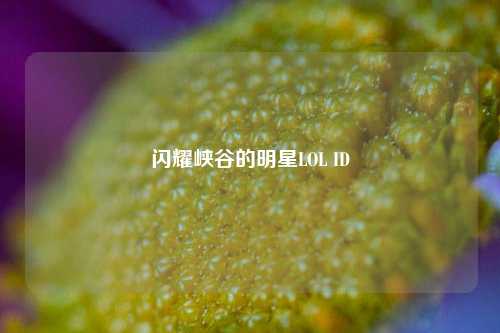闪耀峡谷的明星LOL ID