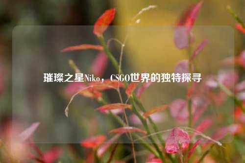璀璨之星Niko,CSGO世界的独特探寻