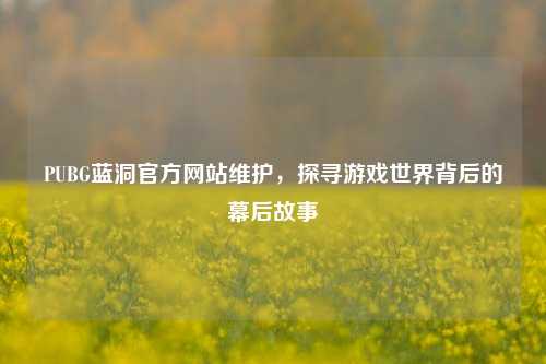 PUBG蓝洞官方网站维护，探寻游戏世界背后的幕后故事