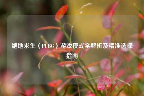 绝地求生（PUBG）游戏模式全解析及精准选择指南