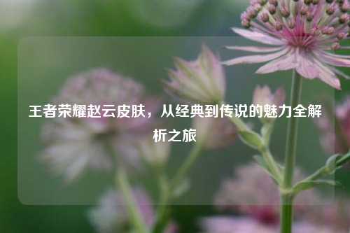 王者荣耀赵云皮肤，从经典到传说的魅力全解析之旅