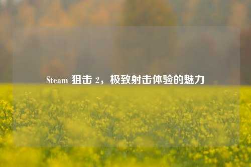 Steam 狙击 2，极致射击体验的魅力