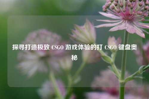 探寻打造极致 CSGO 游戏体验的打 CSGO 键盘奥秘